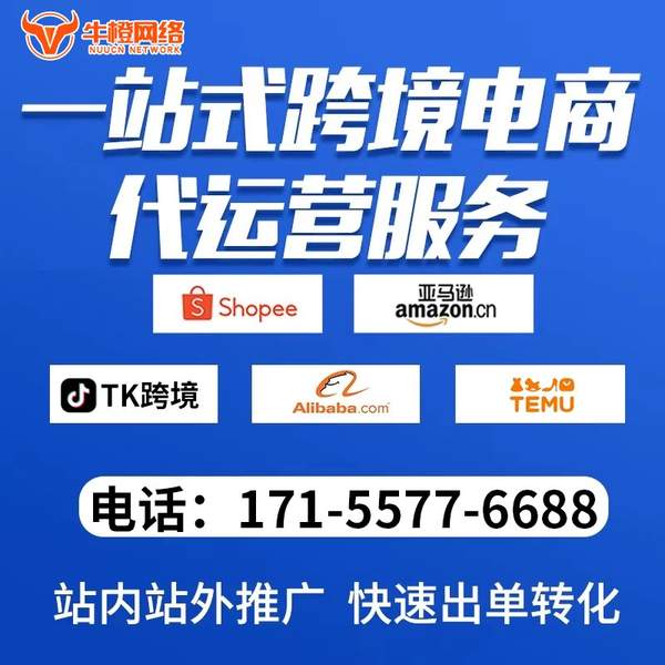 台湾电商代运营